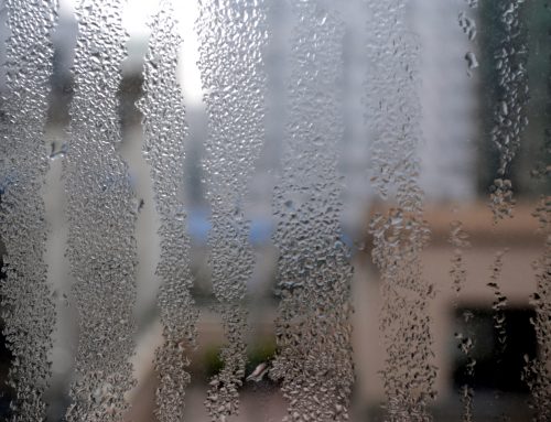 Insulation against Wintertime Condensation